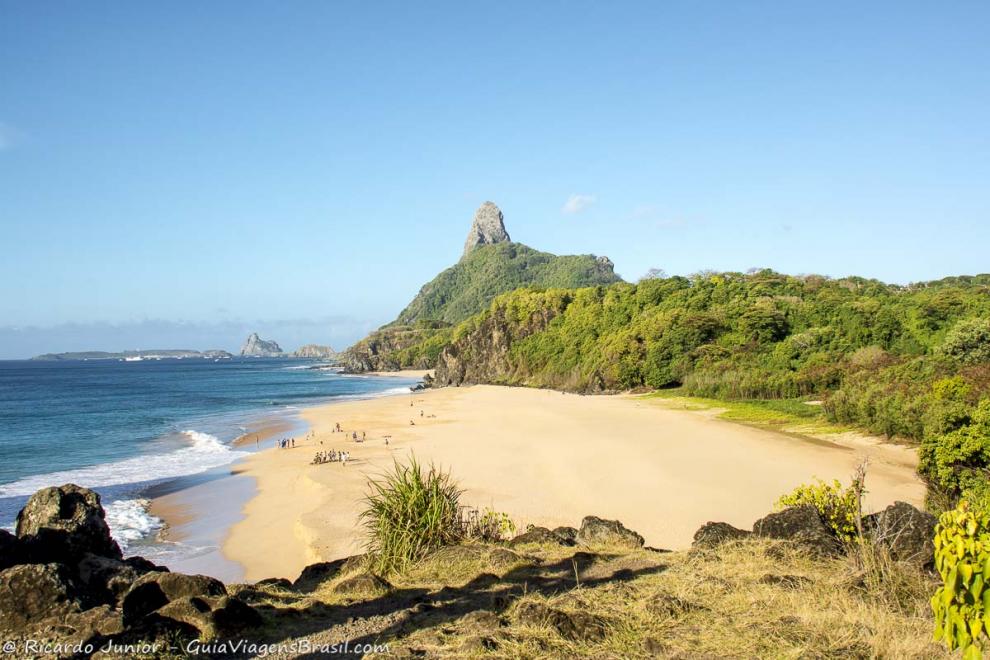 Imagem da praia e da bela vegetação que parece que abraça a orla da praia.